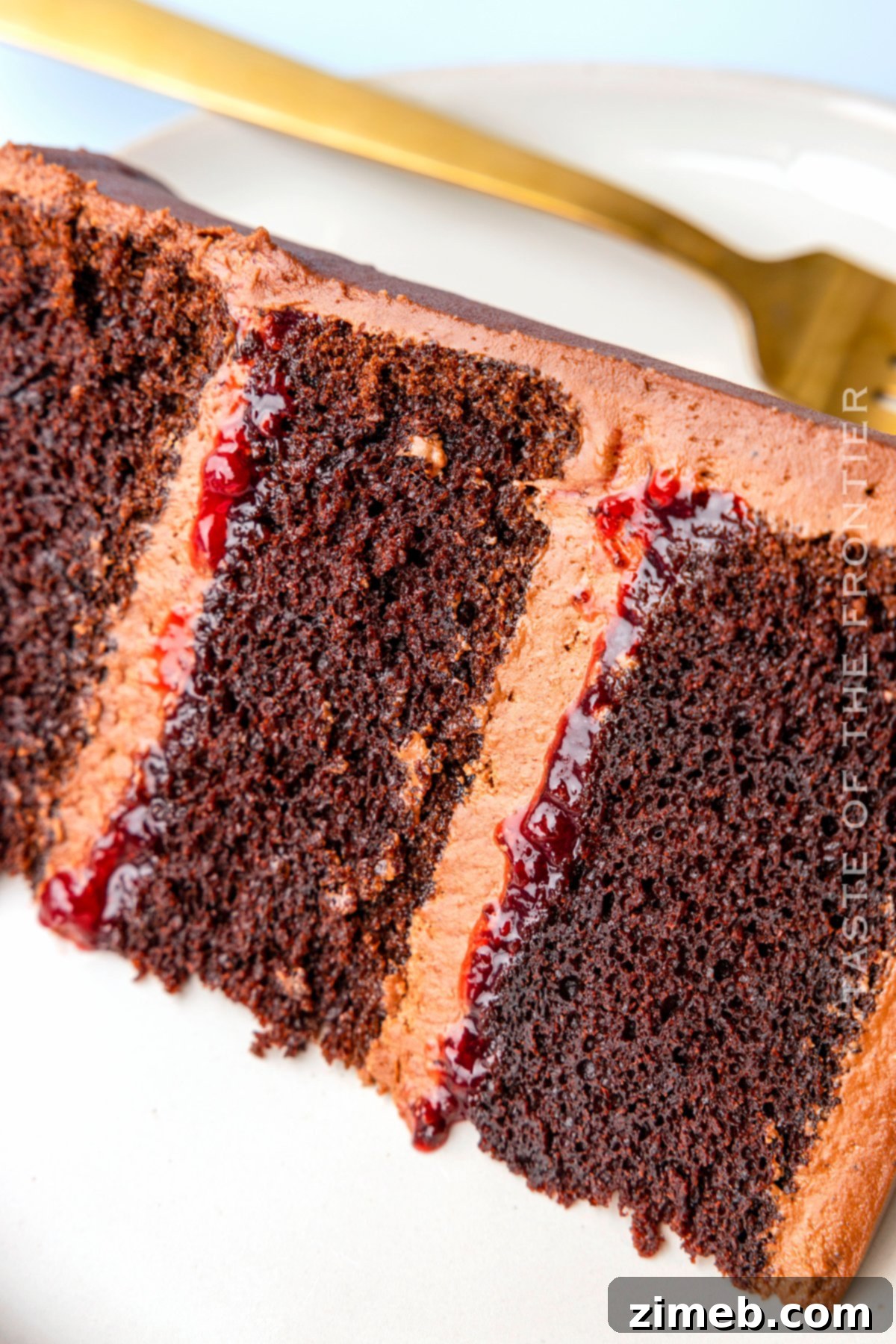 Decadent Raspberry Chocolate Dream 24 slice of chocolate cake