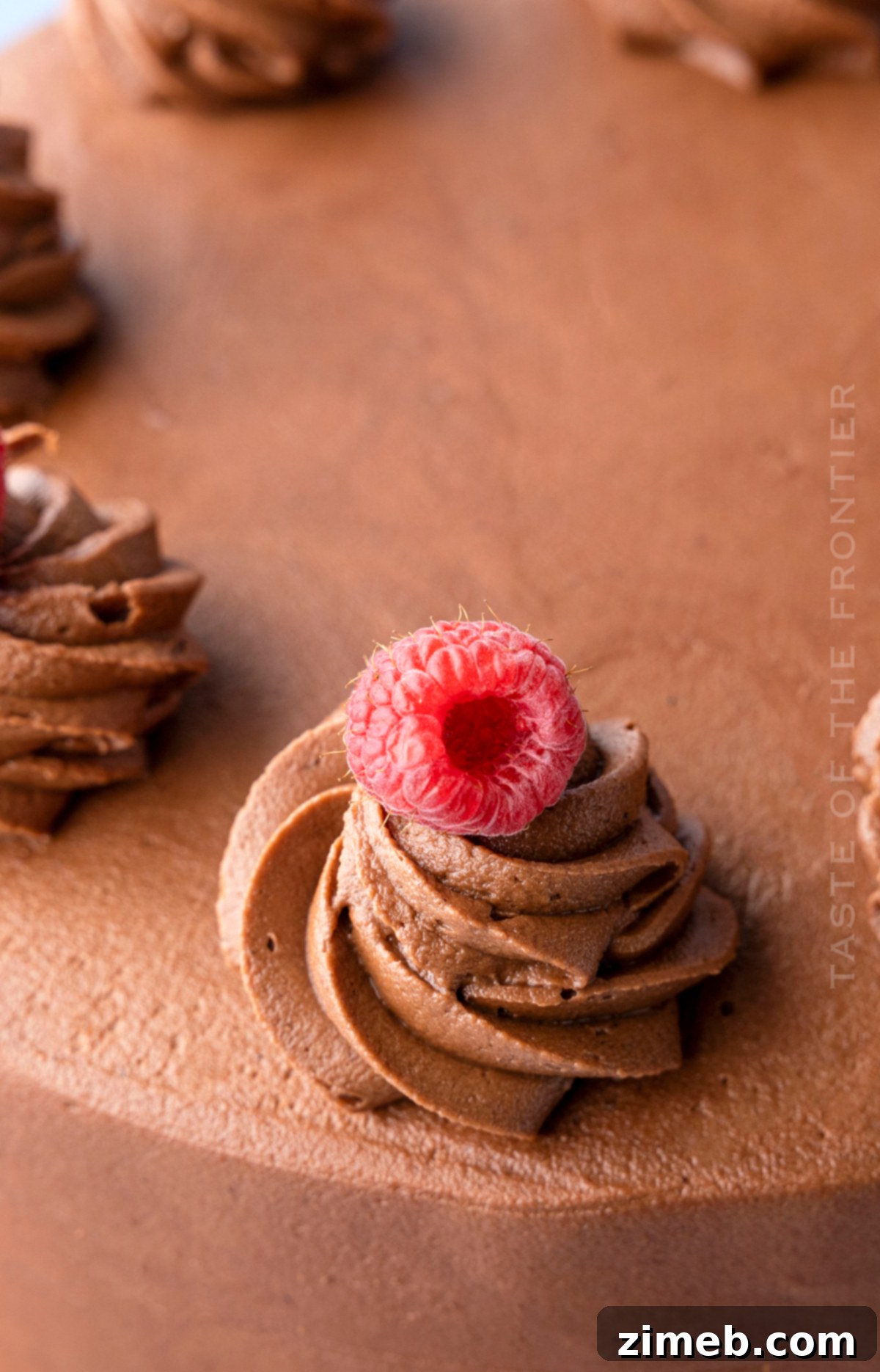 Decadent Raspberry Chocolate Dream 4 Chocolate Raspberry Birthday Cake