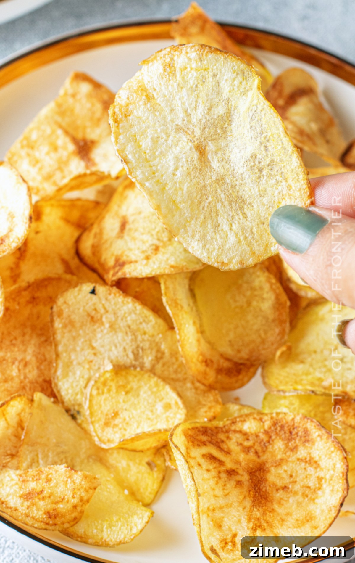Crispy Air Fryer Potato Chips 21 best potato chips