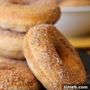 Baked Churro Donuts