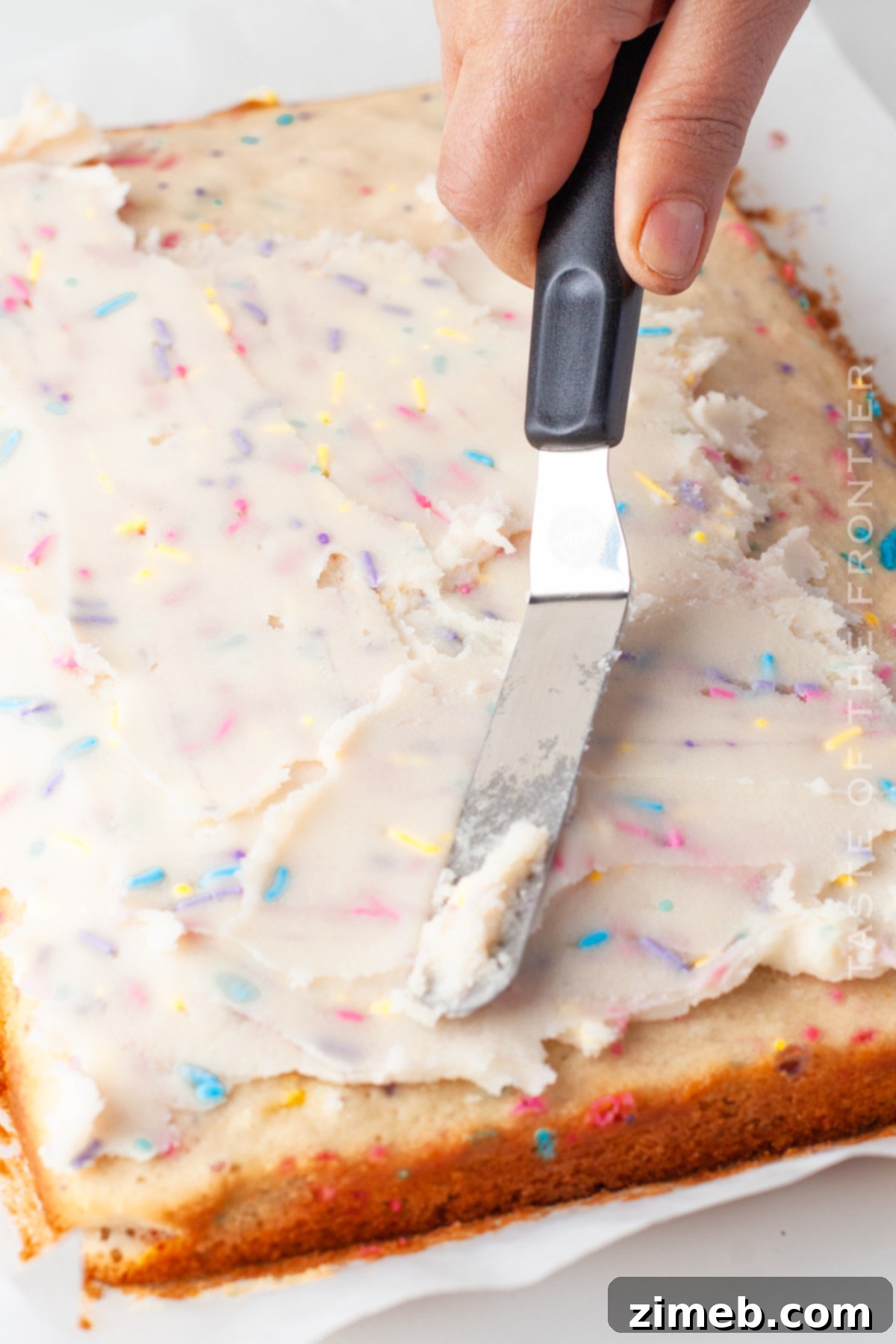 Sprinkle Explosion Cake 11 Decorating Confetti Cake with frosting