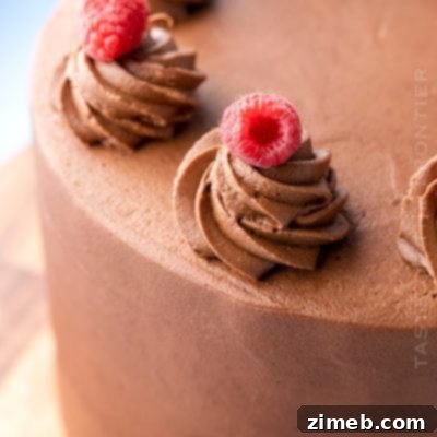 Sprinkle Explosion Cake 15 Decadent chocolate cake with raspberry filling