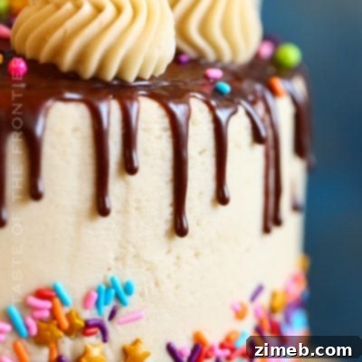 Sprinkle Explosion Cake 17 Rich Chocolate Ganache Drip Cake
