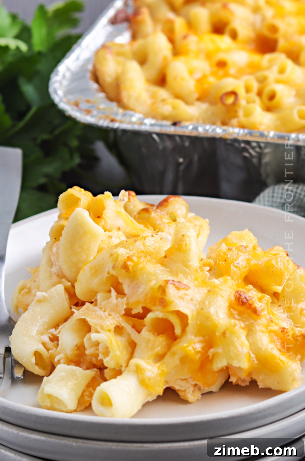 Smoking Pasta - Creamy Smoked Mac and Cheese