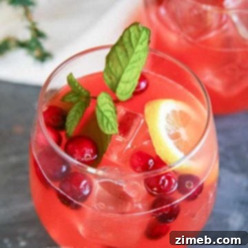 Alcoholic Holiday Party Punch with cranberries
