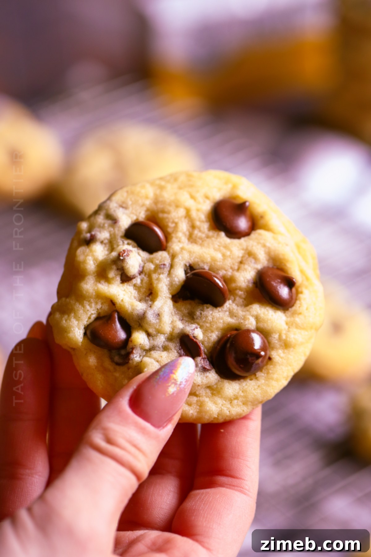 How to make Chocolate Chip Cookies without Brown Sugar at home