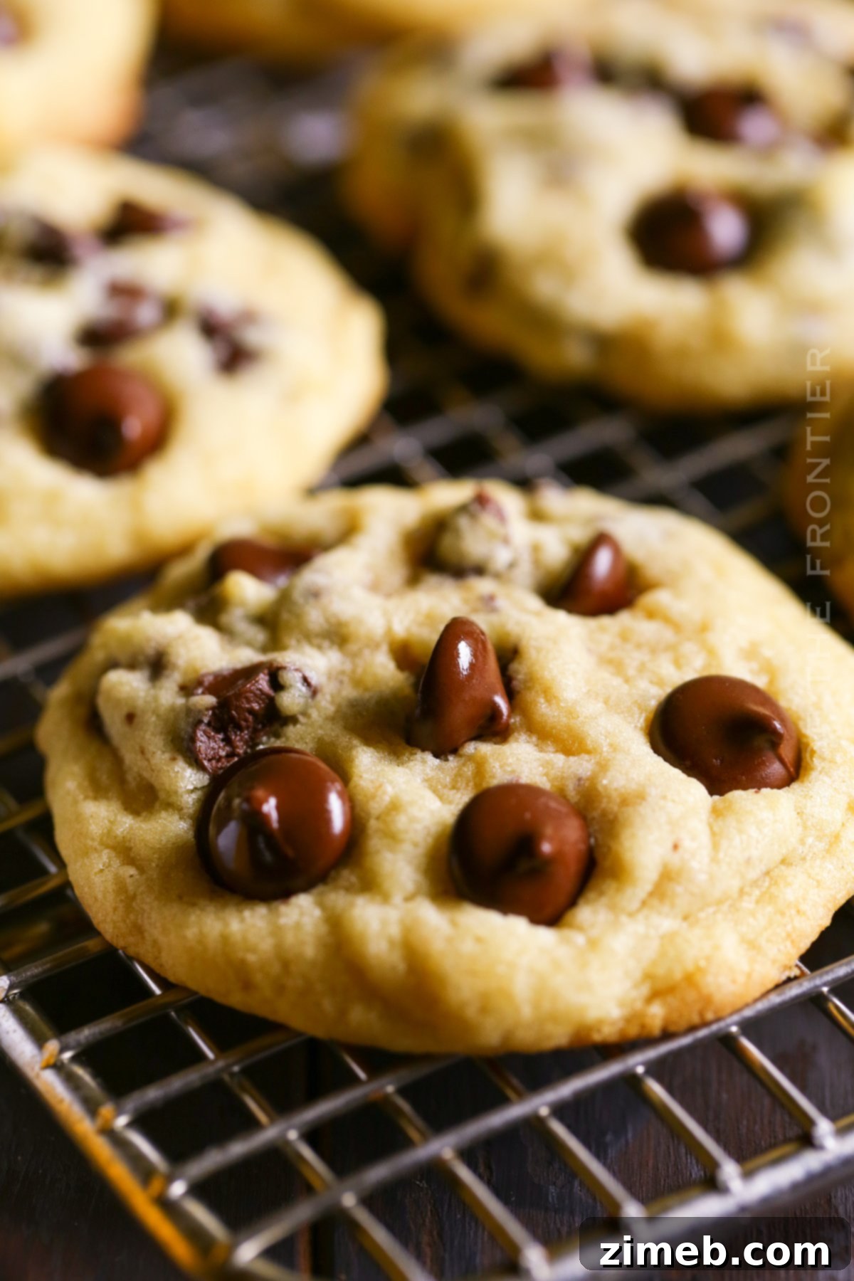 Soft and chewy chocolate chip cookies fresh out of the oven