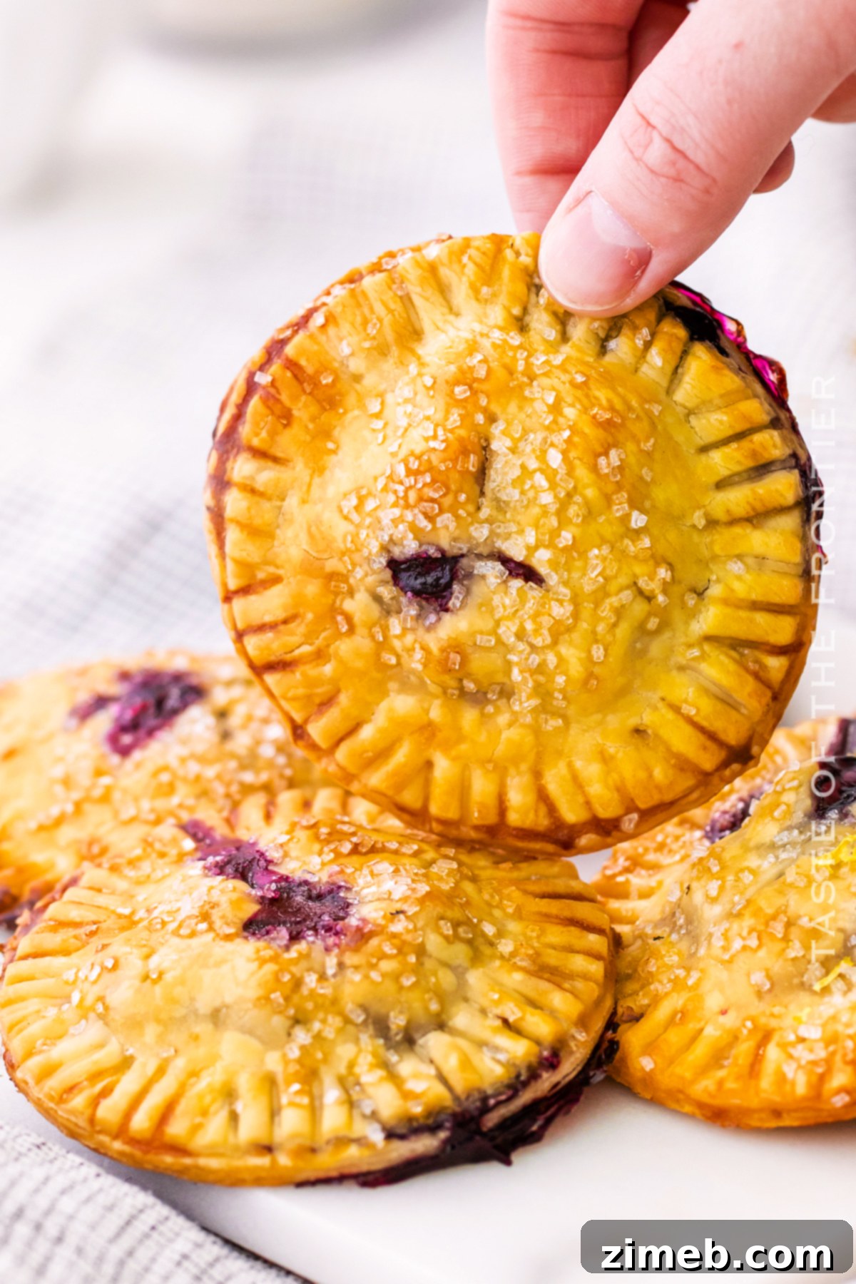 Blueberry Pie Pockets 18 pie for dessert