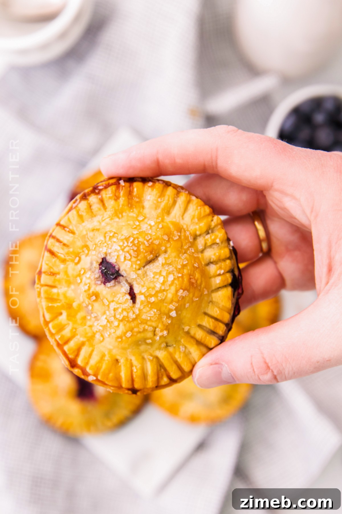 Blueberry Pie Pockets 4 Hand Pies