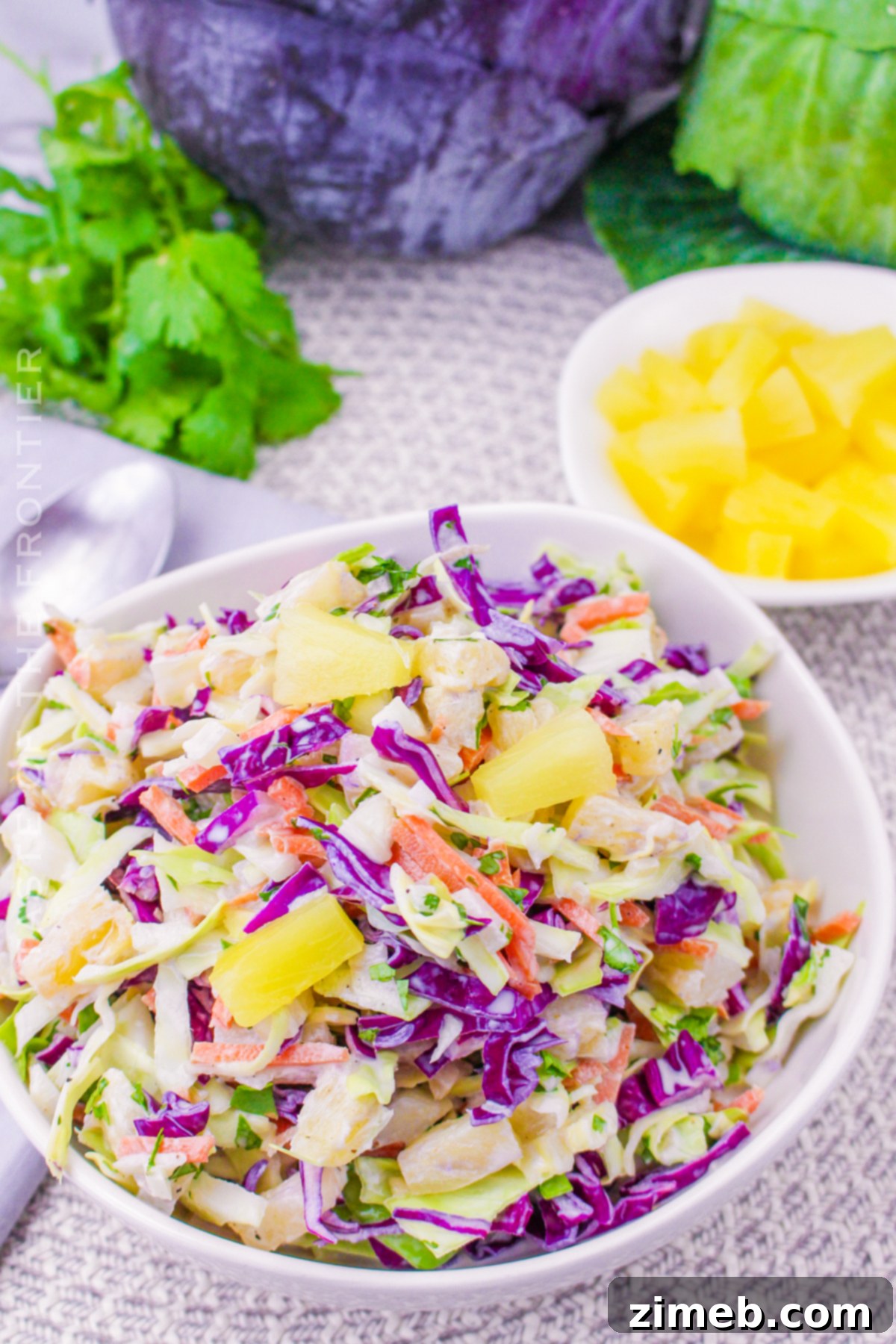 Aloha Coleslaw 4 cold salad side dish