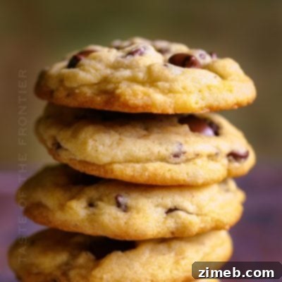 Chocolate Chip Cookies without Brown Sugar