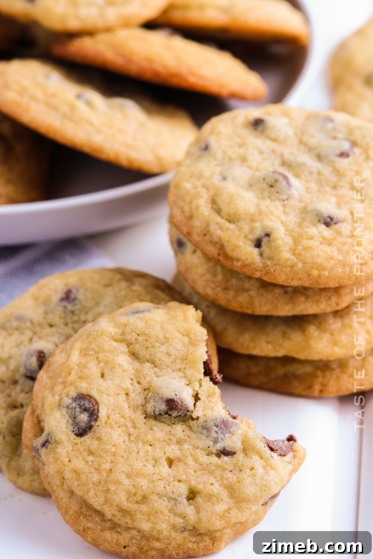 bite of chocolate chip cookie