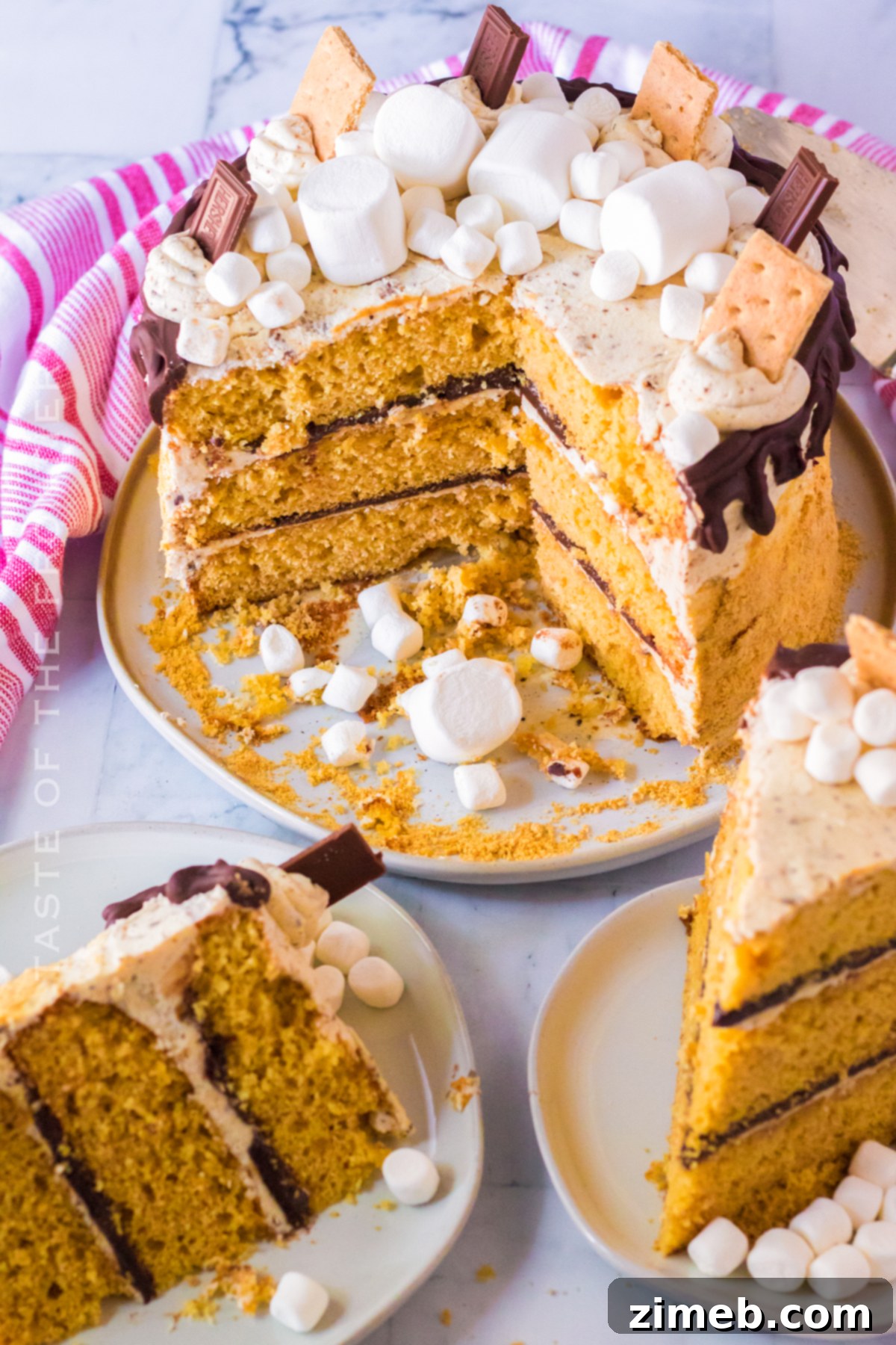 S'mores Cake 11 Close-up of S'mores Cake, ready for a summer celebration
