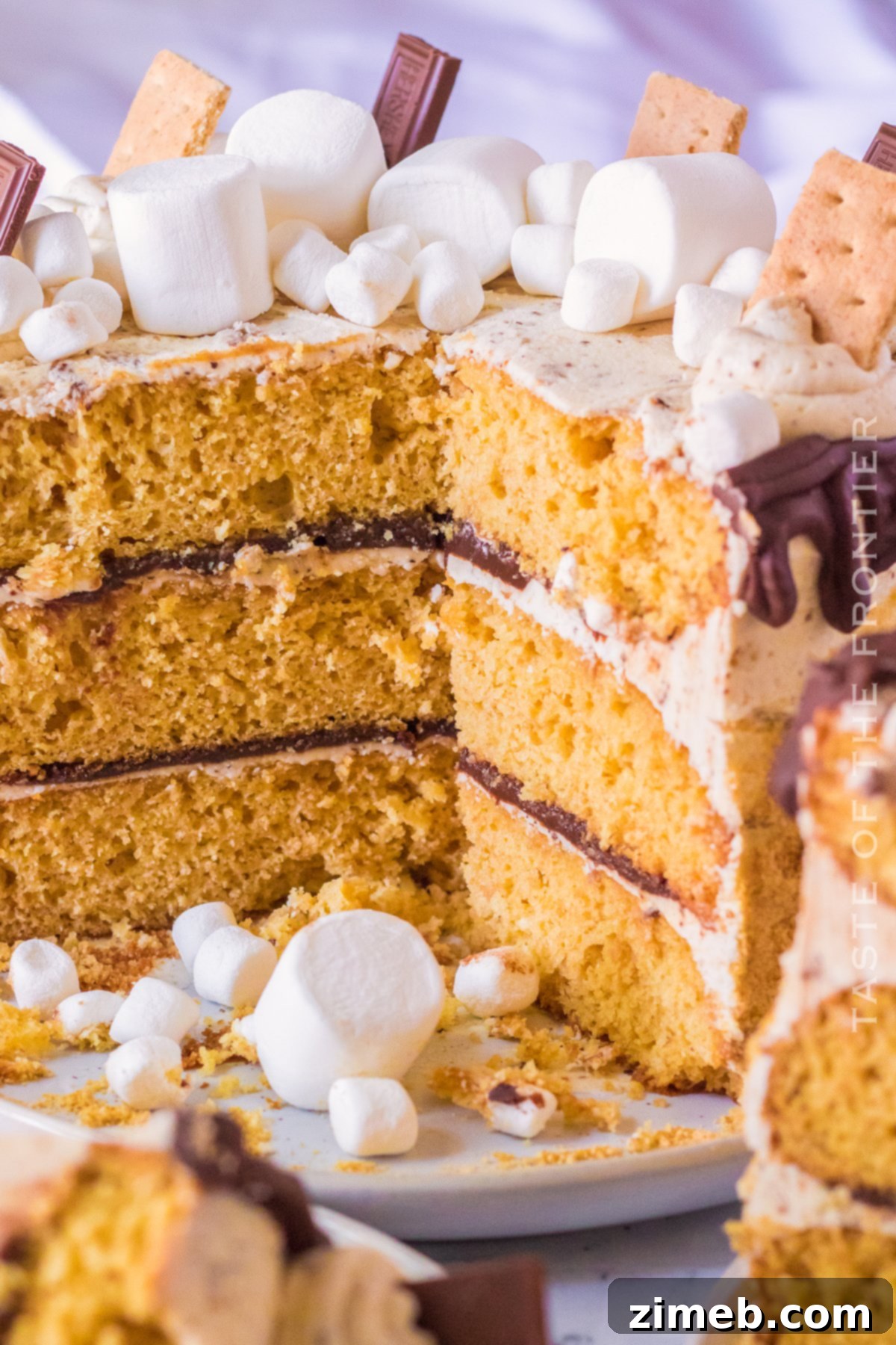 S'mores Cake 12 Cross-section view of a S'mores Cake, showing its layers