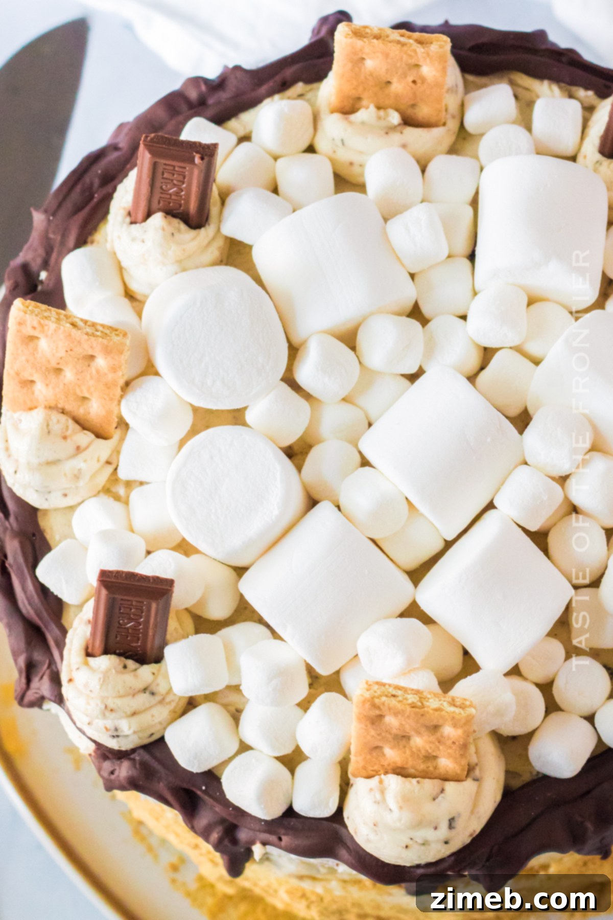 S'mores Cake 13 Top view of a beautifully decorated S'mores Cake