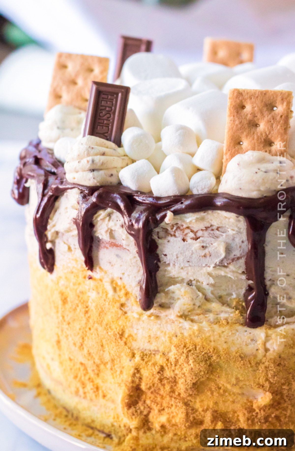 S'mores Cake 3 3 layer S'mores Cake, a perfect summer celebration dessert
