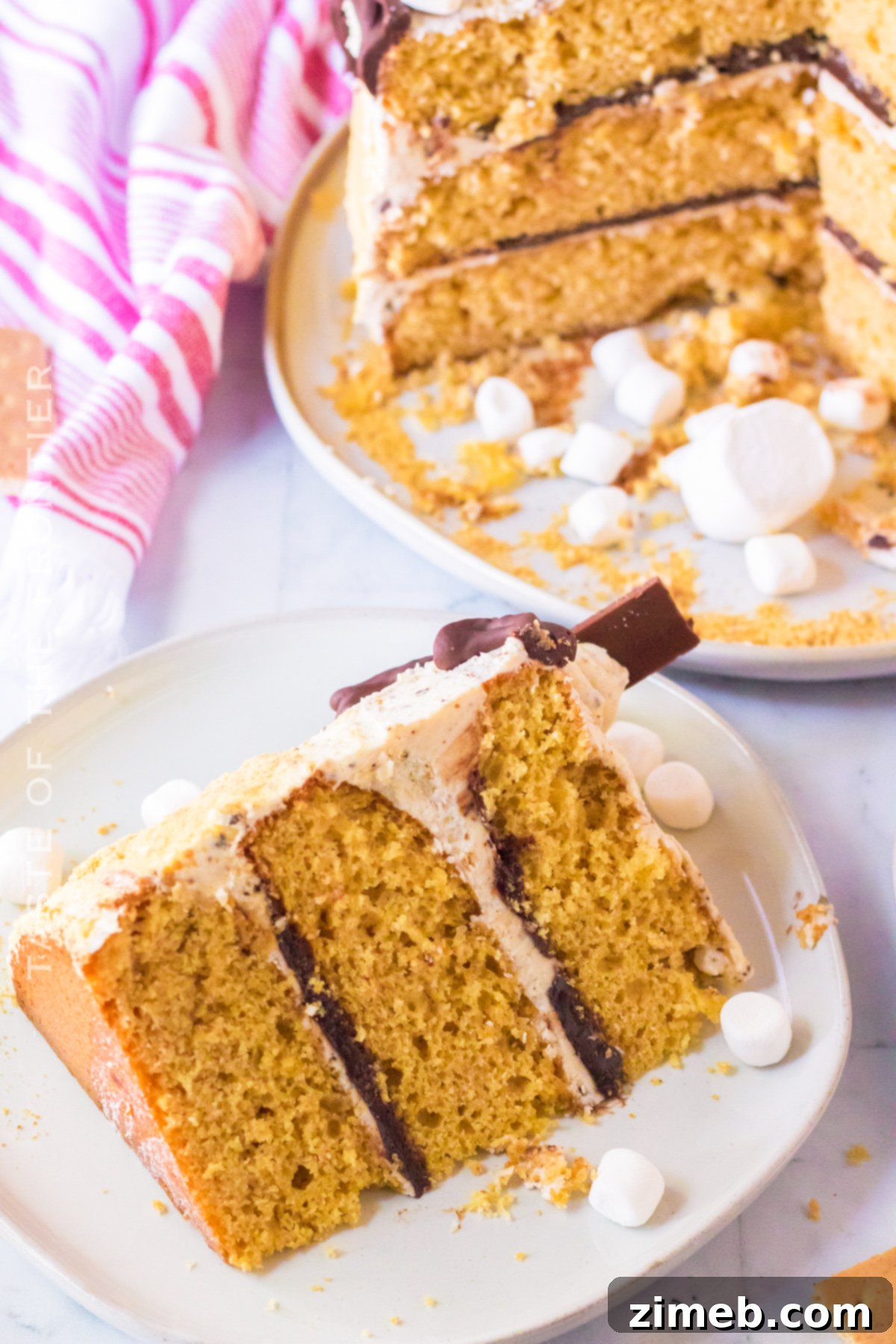 S'mores Cake 23 3 layer cake with chocolate and graham crackers, summer dessert