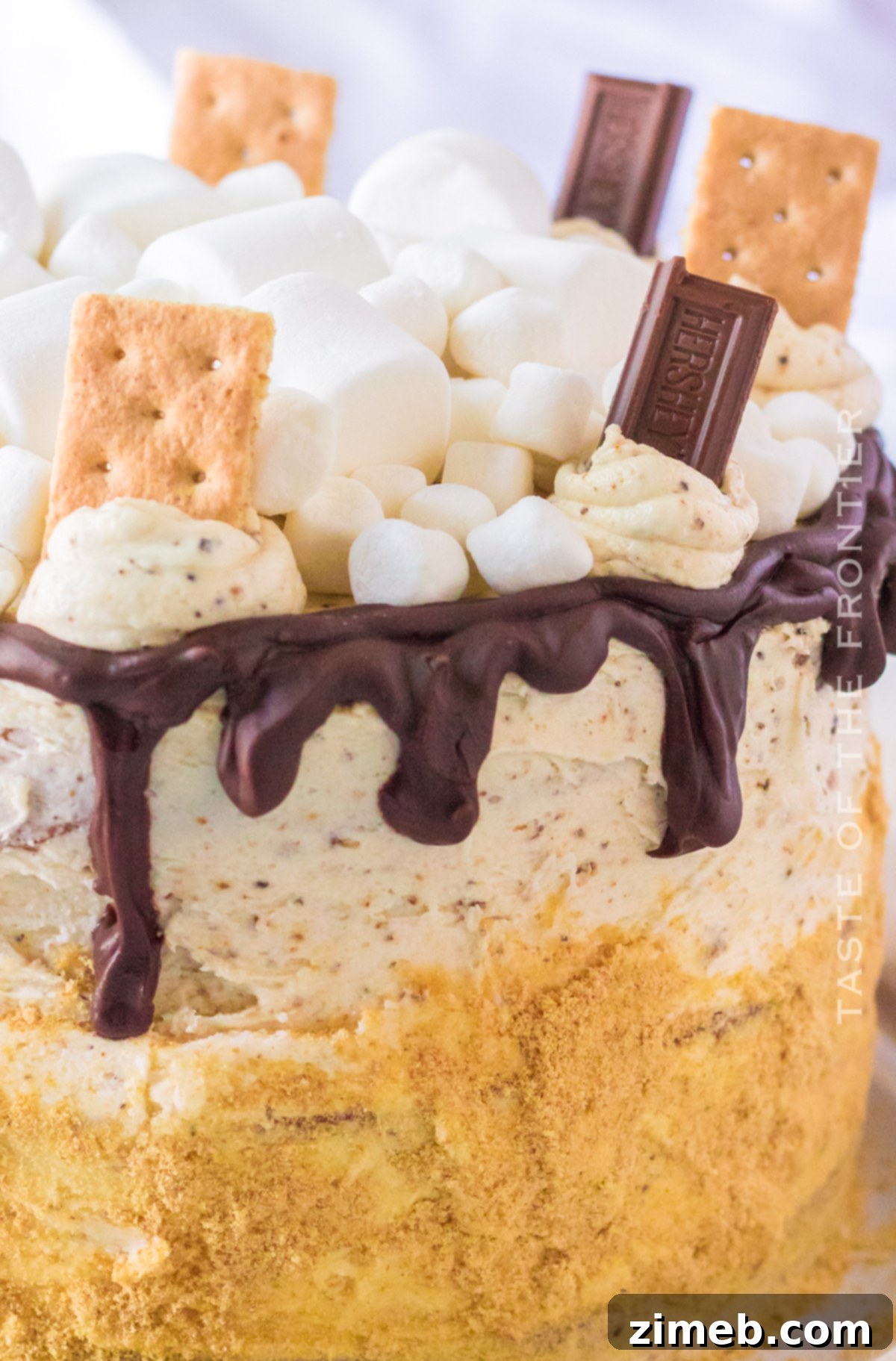 S'mores Cake 24 Festive summer birthday cake with marshmallows