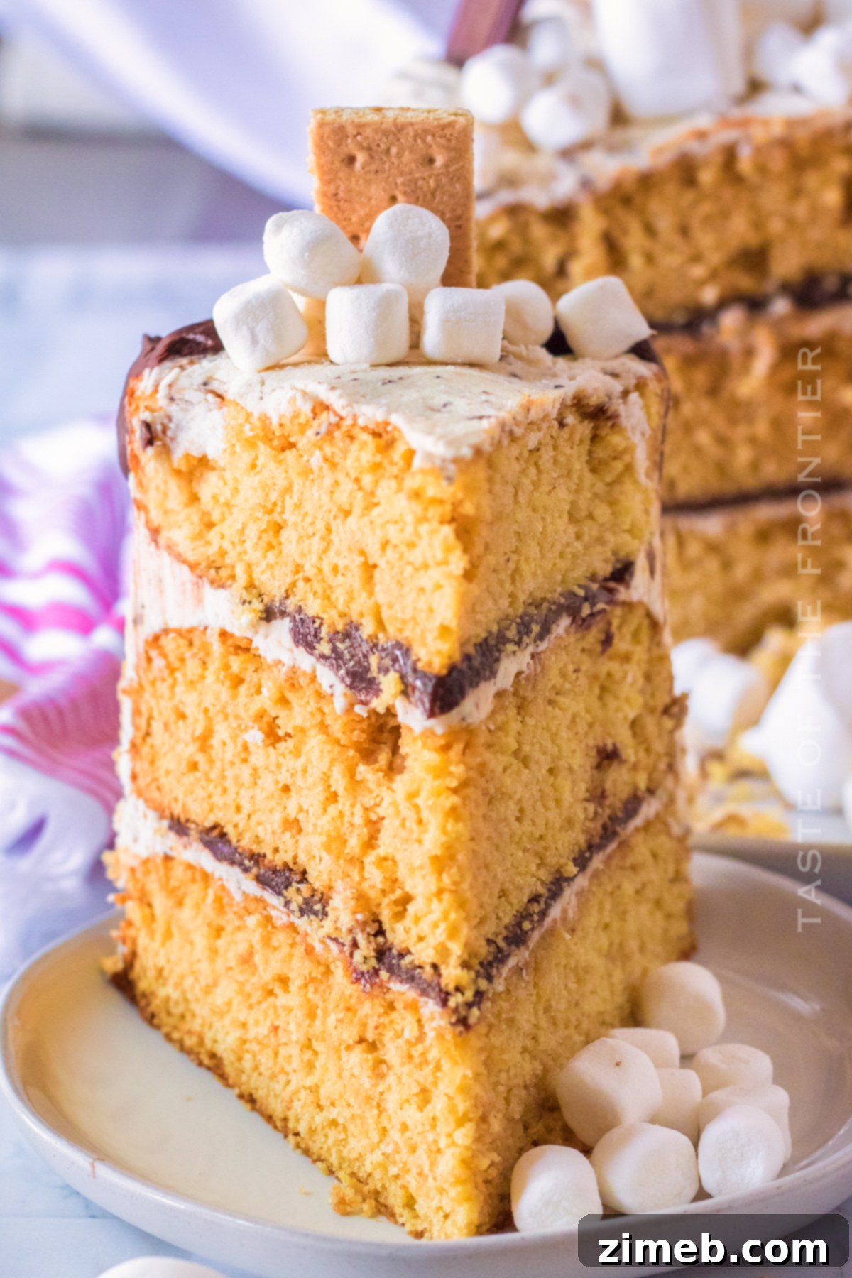 S'mores Cake 25 A perfect slice of S'mores Cake on a plate