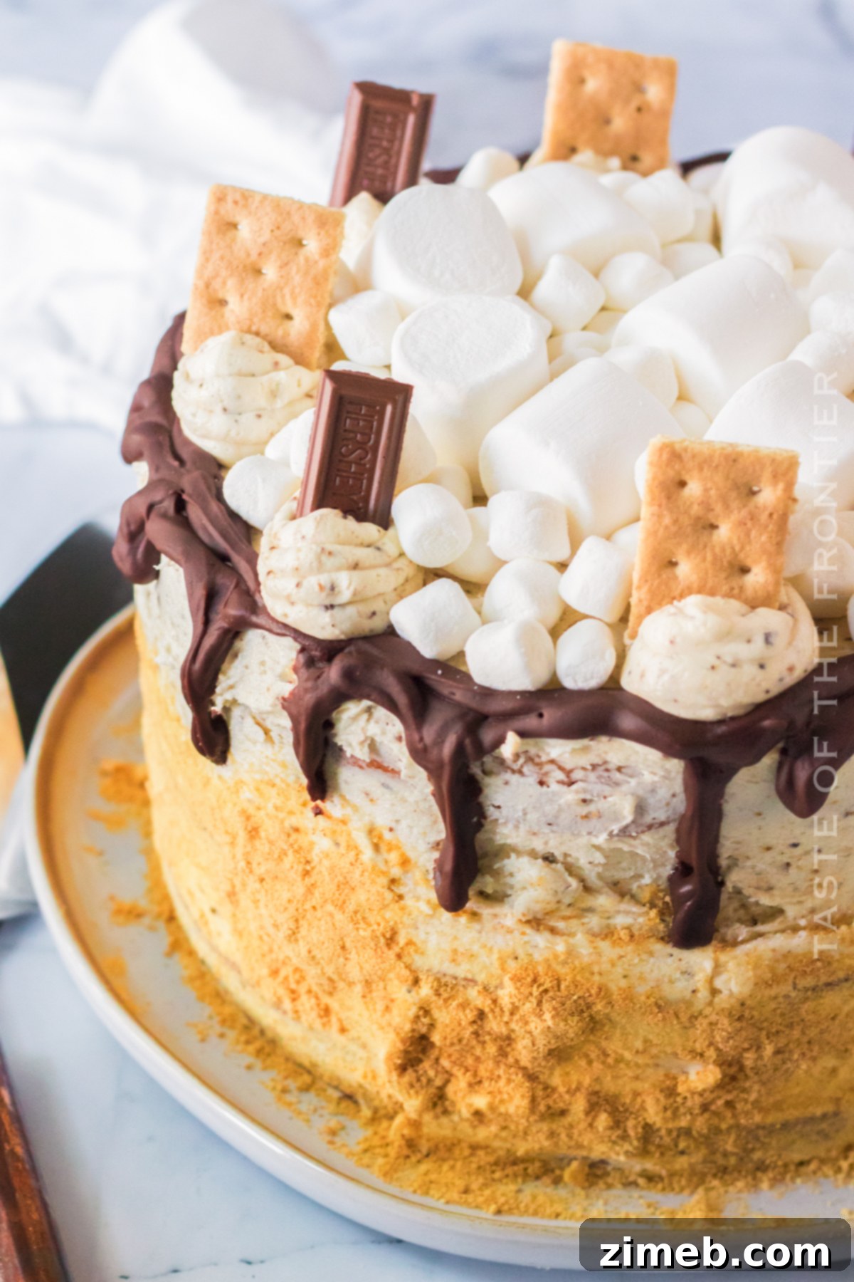 S'mores Cake 4 Close-up of fluffy Toasted Marshmallow Frosting for S'mores Cake