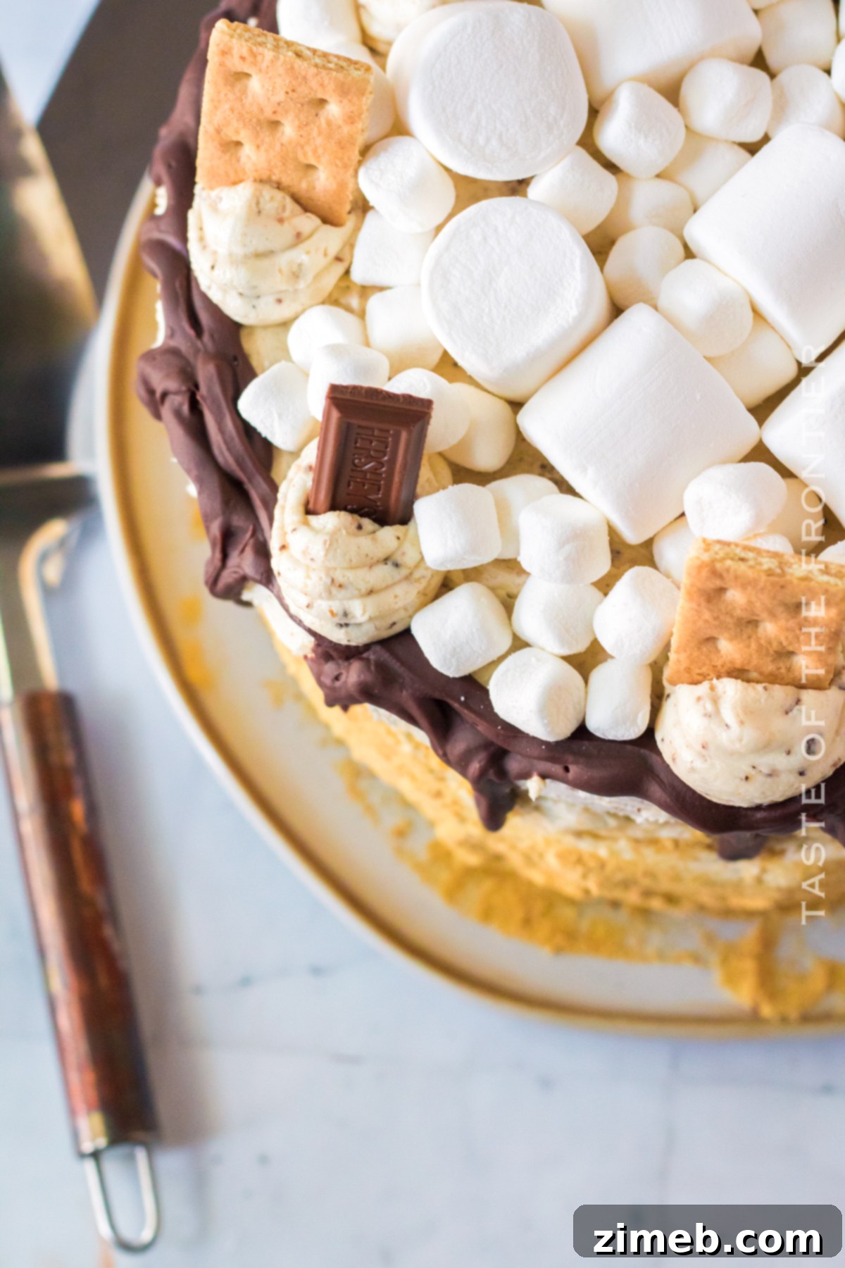 S'mores Cake 10 Birthday cake decorated with marshmallows and chocolate, celebrating summer