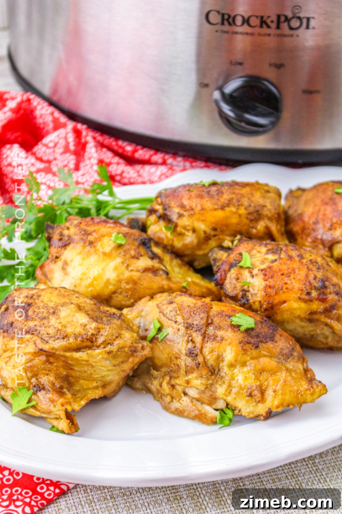 Island Spice Jerk Chicken 16 Crock Pot Jerk Chicken plated