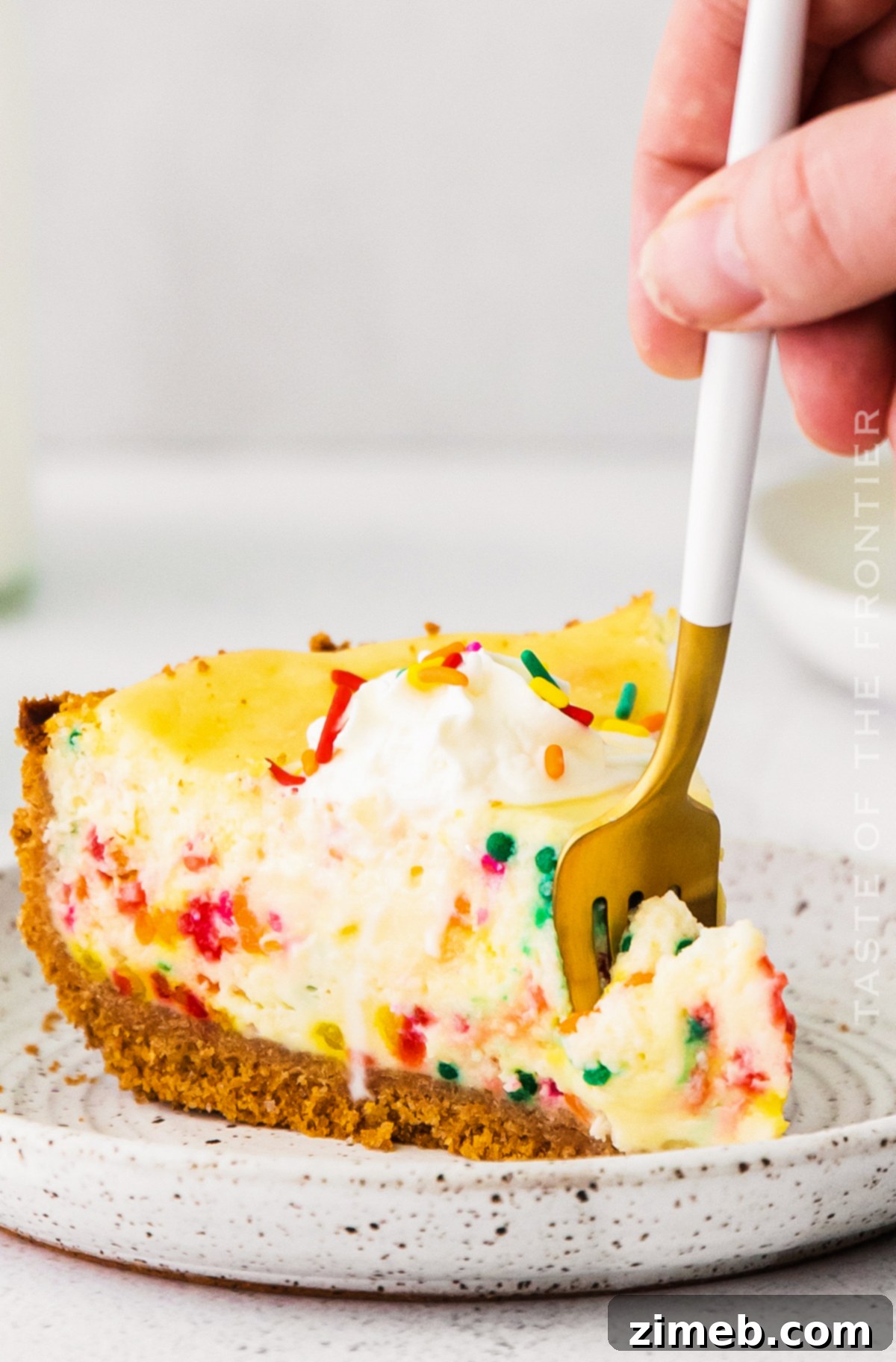 Birthday Bliss Cheesecake 20 A stunning shot of the best Funfetti Cheesecake, showcasing its rich texture and colorful sprinkles.