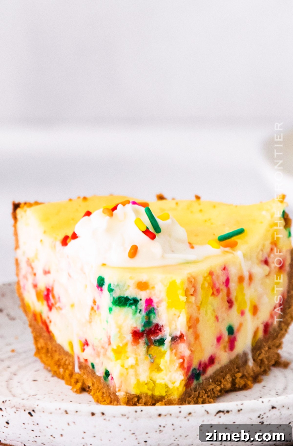 Birthday Bliss Cheesecake 21 A close-up bite of Birthday Cheesecake, showing the creamy texture and embedded sprinkles.