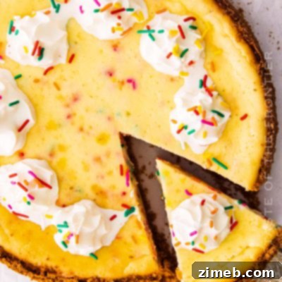 Birthday Bliss Cheesecake 22 A vibrant celebration cheesecake adorned with colorful sprinkles