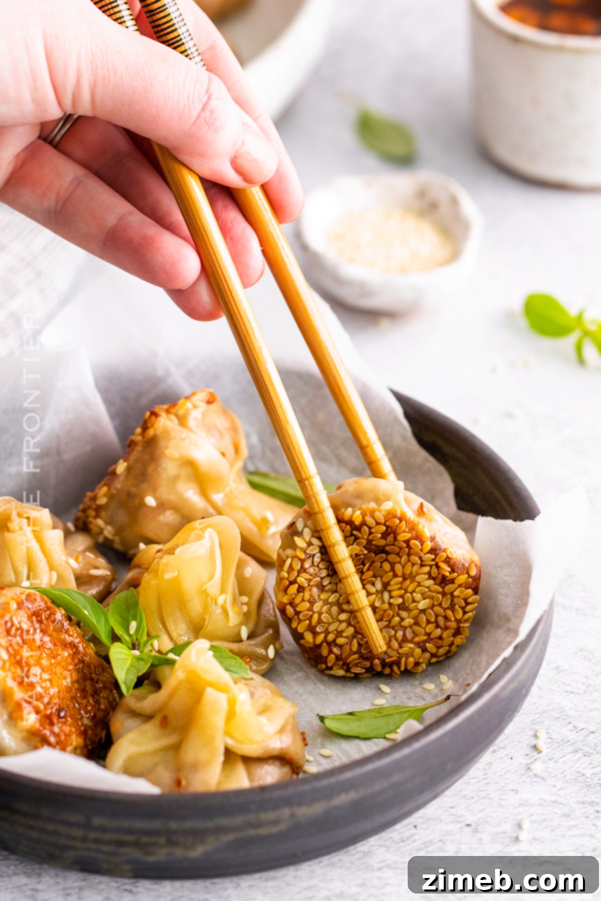 Sesame Vegetarian Dumplings