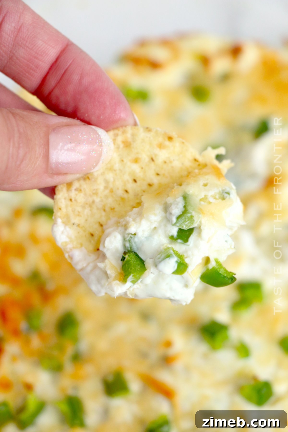 Creamy Jalapeno Artichoke Dip 2 Creamy Jalapeno Artichoke Dip served with crackers