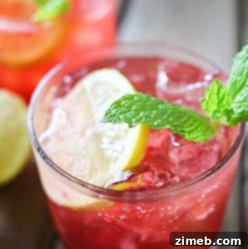 Blackberry Lemon Gin & Tonic is one of our favorite mixed drinks. It's one of those perfect cocktails for a hot summer day. Blackberries, lemon & gin is a delicious combination! Serve it at all your parties & backyard BBQ's.