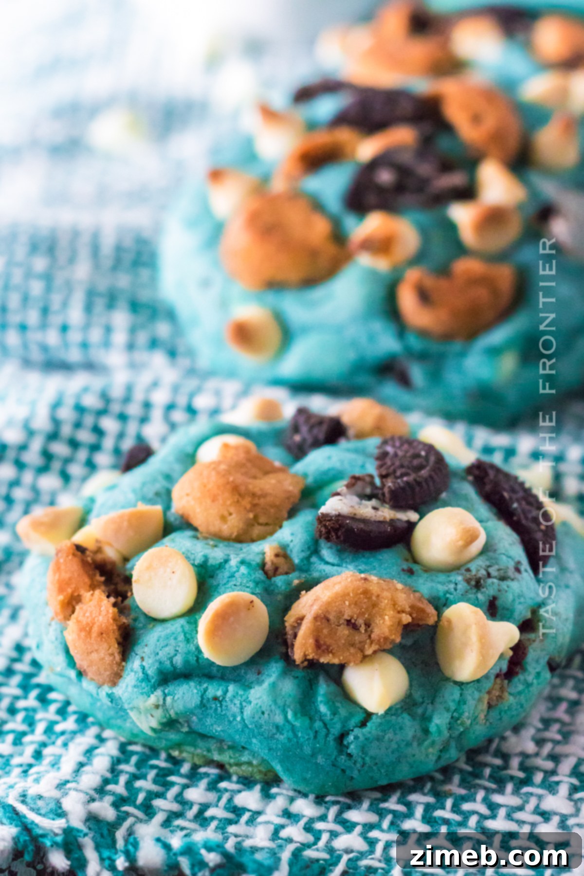 Om Nom Nom Cookies 11 Sesame Street-themed Cookie Monster Cookies with chocolate chips