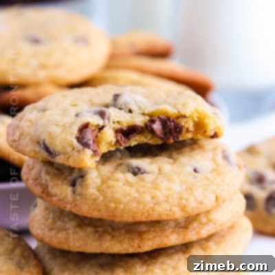 Om Nom Nom Cookies 14 Mrs. Fields Chocolate Chip Cookies