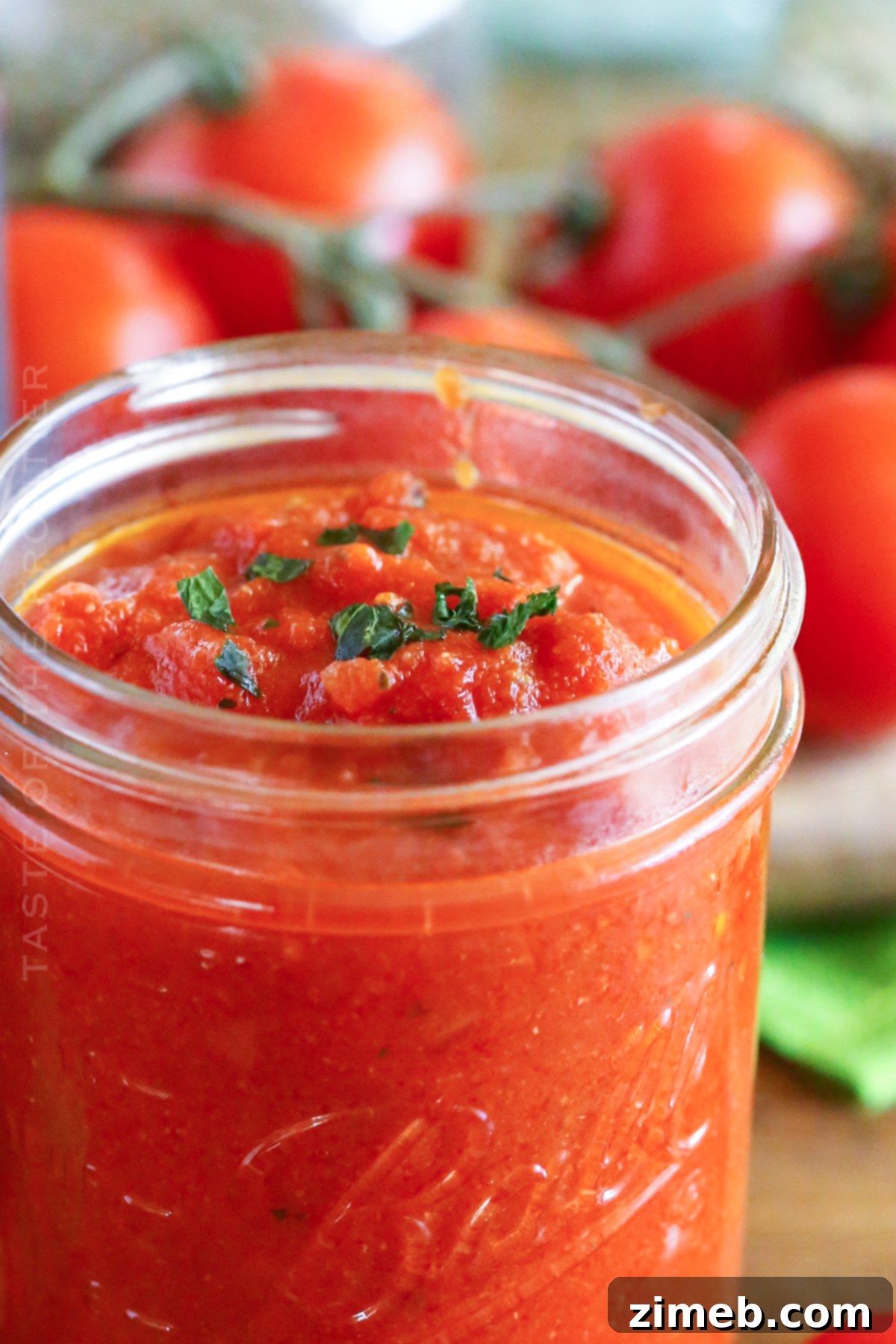 Recipe for Keto Marinara Sauce