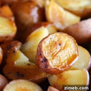 Crispy Air Fryer Parmesan Roasted Potatoes 19 img 91361 19