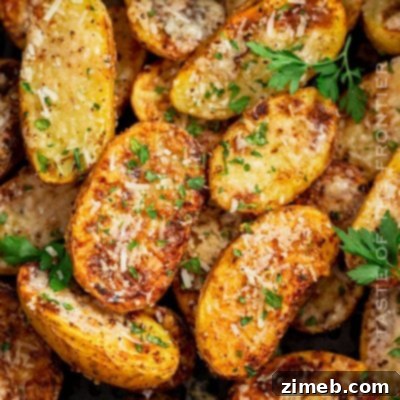 Crispy Air Fryer Parmesan Roasted Potatoes 23 Air Fryer Parmesan Roasted Potatoes