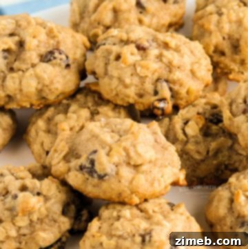 Oatmeal cookies with nuts, made with applesauce