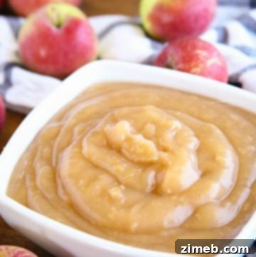 Sugar-free applesauce made in an Instant Pot.