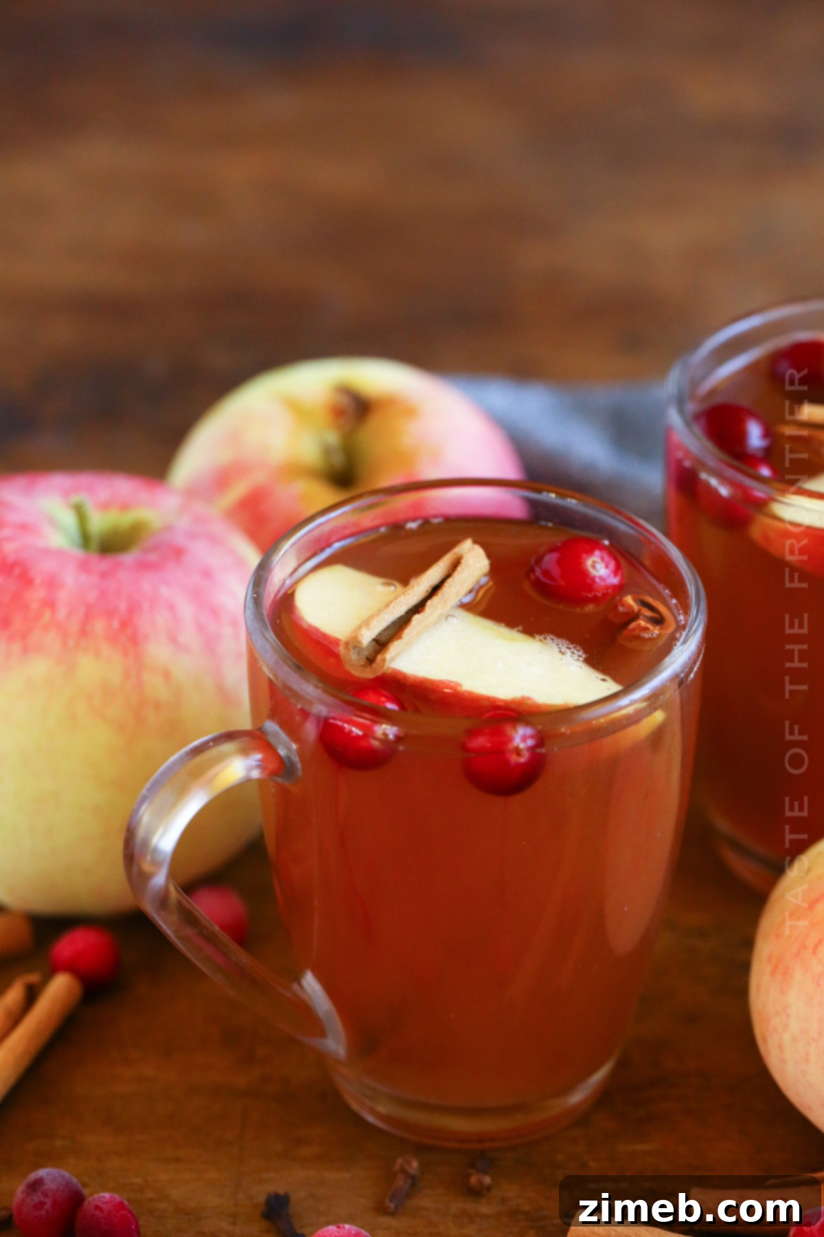 How to Make Instant Pot Apple Cider, showing the final strained product in a mug.