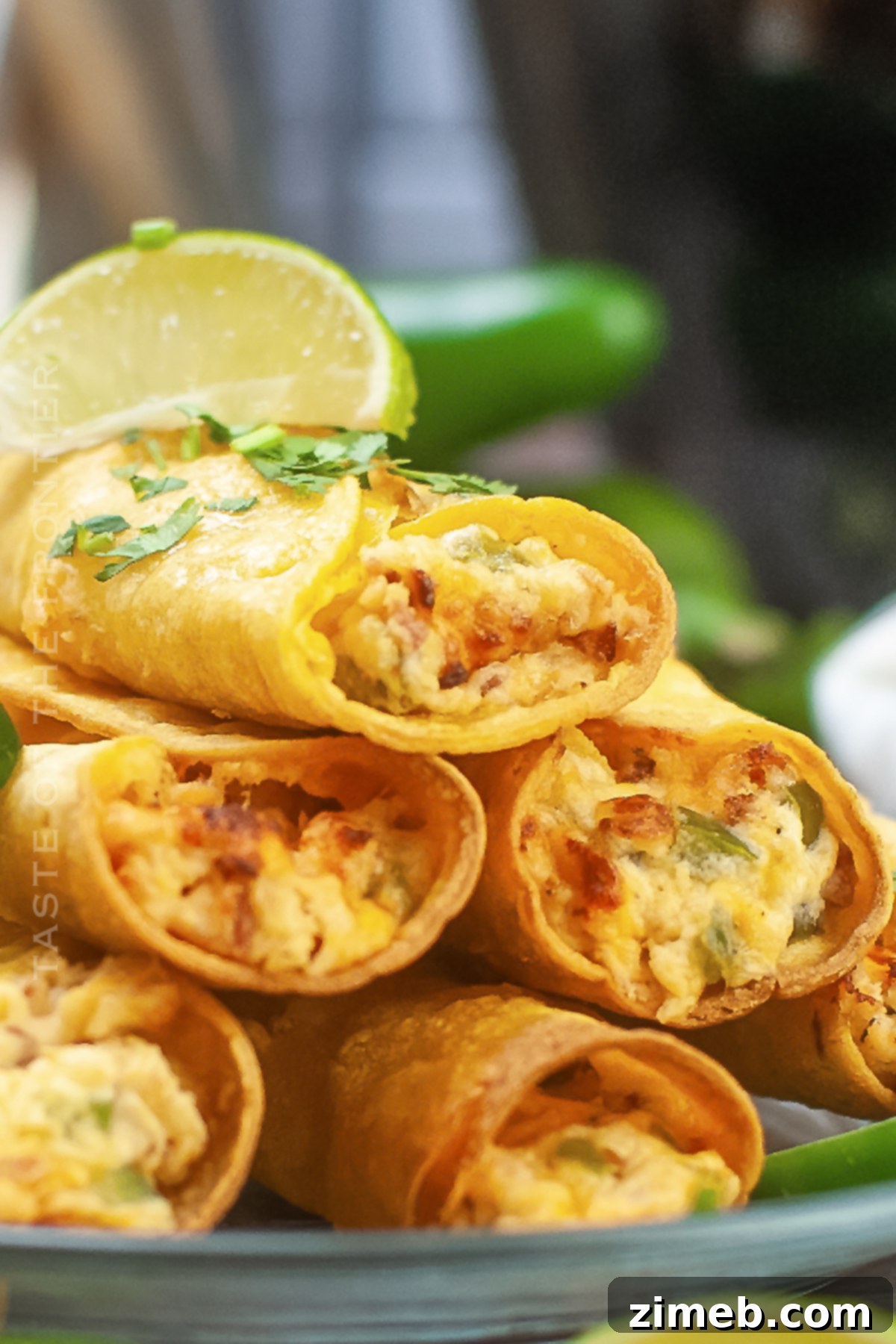 Recipe for Air Fryer Taquitos