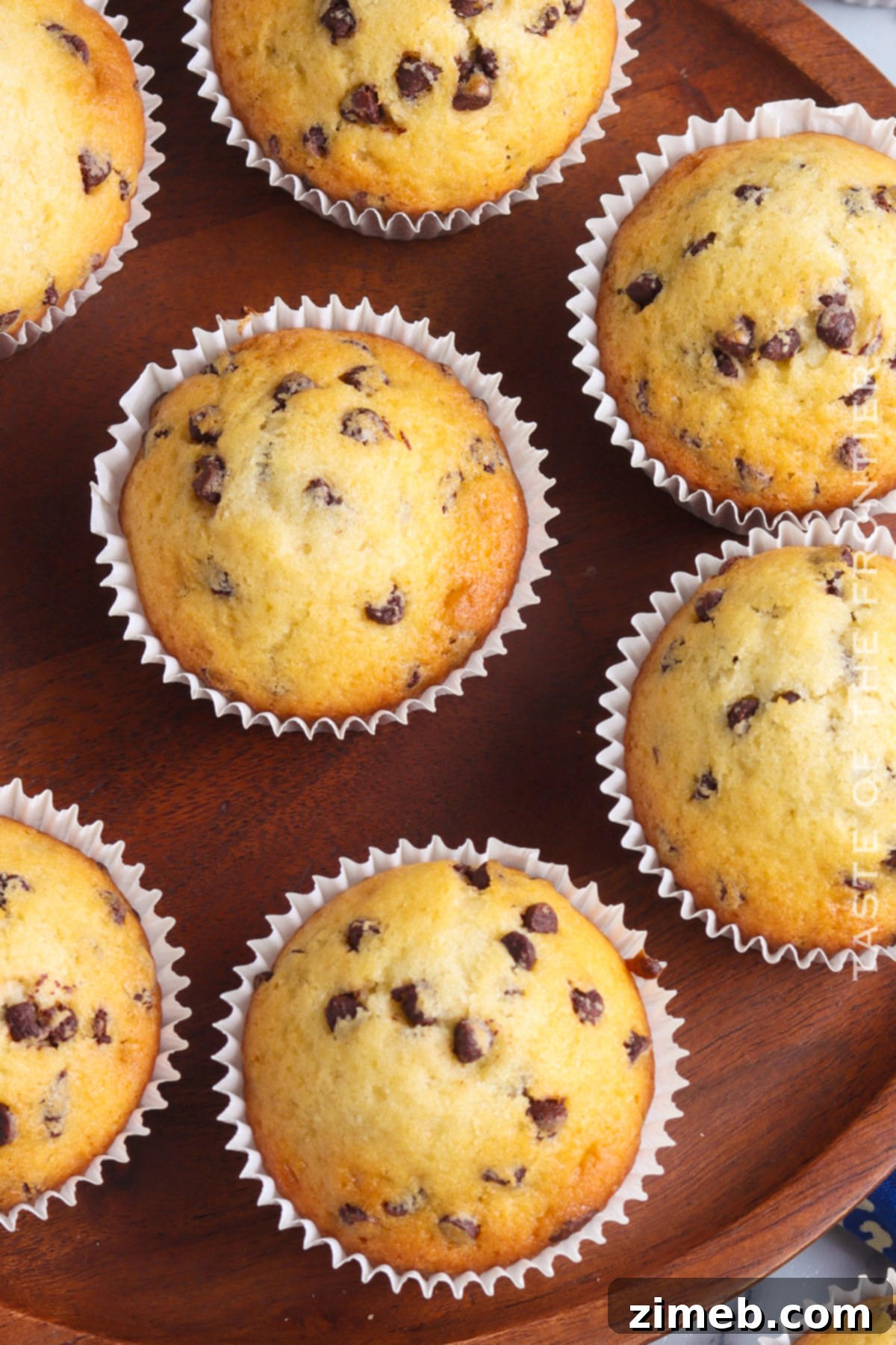 Effortless Everyday Muffins 19 Chocolate Chip Muffins