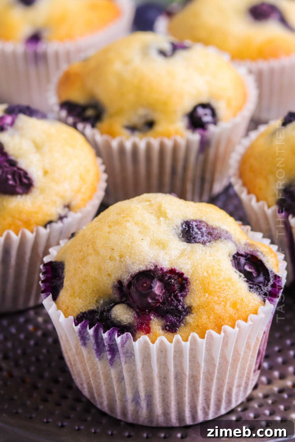 Effortless Everyday Muffins 3 Blueberry Muffins