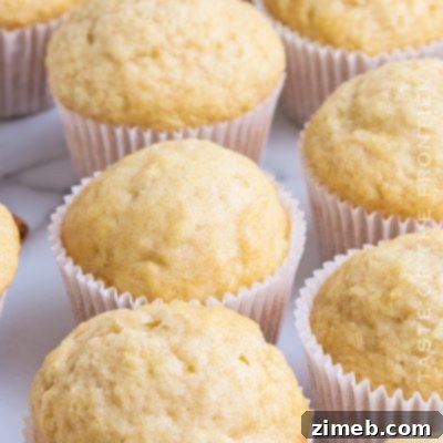 Effortless Everyday Muffins 22 Basic Muffin Recipe