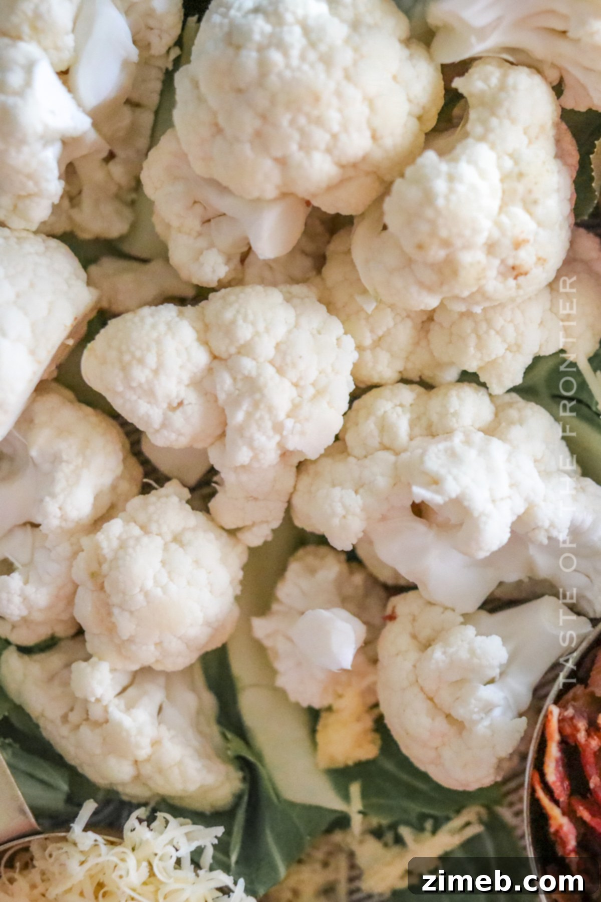 Steamed cauliflower florets in a bowl, ready for mashing.
