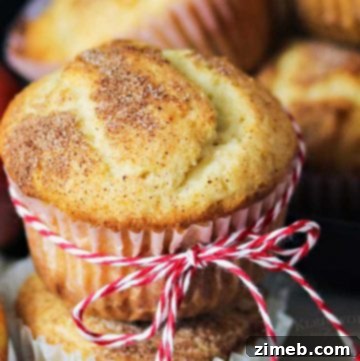 Cozy Apple Cinnamon Muffins 17 Banana Apple Muffins