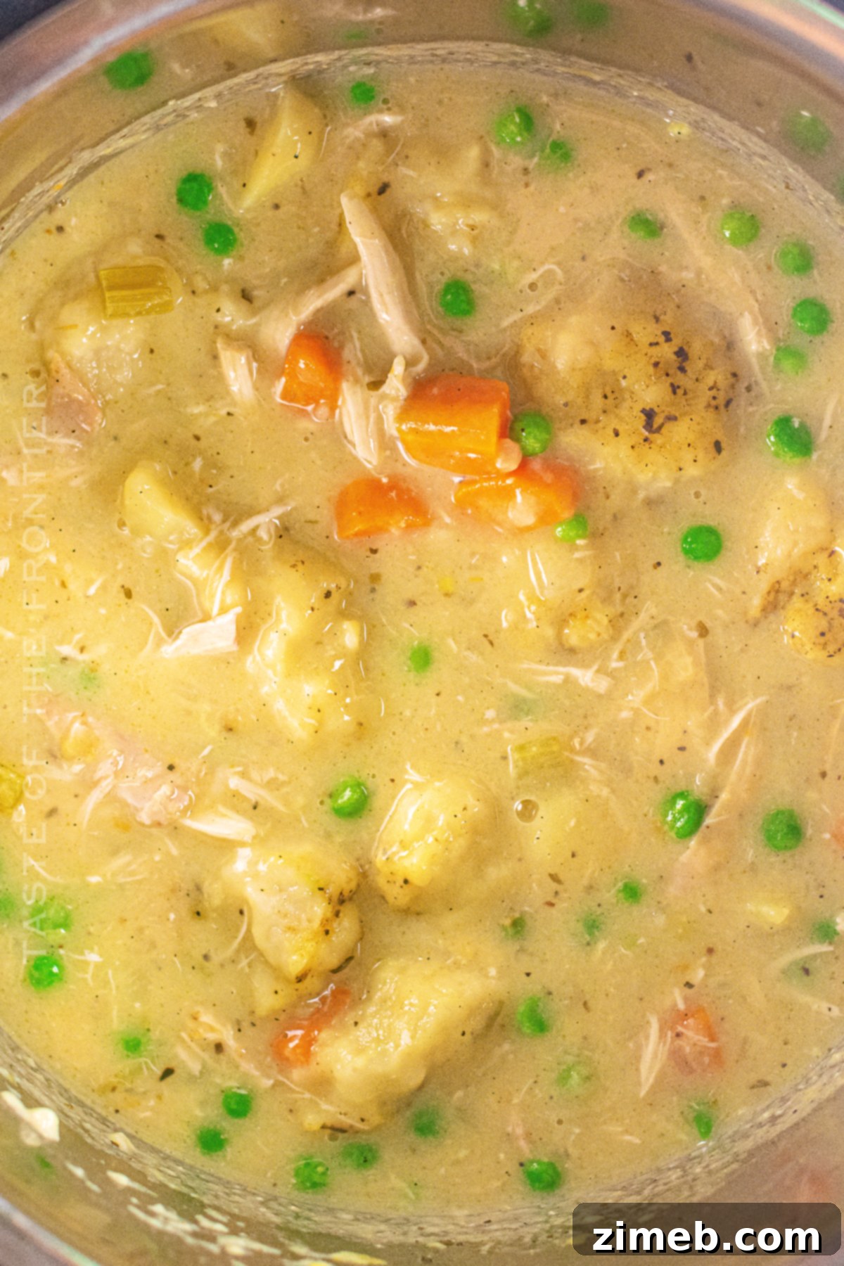 Your Go-To Instant Pot Chicken and Dumplings 17 Final dish of Instant Pot Chicken and Dumplings, served hot.
