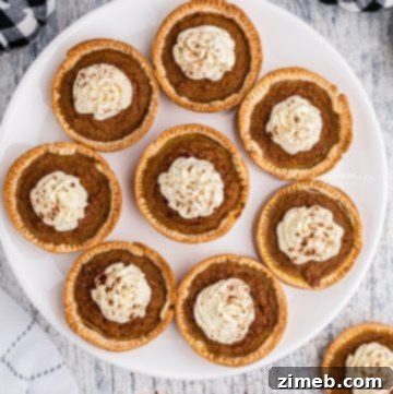 thanksgiving pumpkin pie