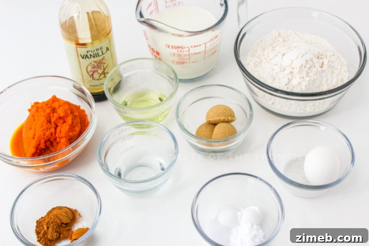 Ingredients for Easy Pumpkin Pancakes