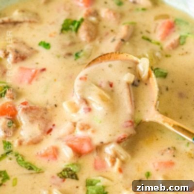 Comforting Chicken and Earthy Mushroom Soup 21 Chicken and Mushroom Soup